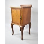 An Edwardian Mahogany Bedside Cabinet with Panelled Door to Shelved Interior, Cabriole Supports,