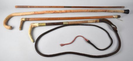 A Collection of Two Bone Handled Crops, Walking Stick and Gun Cleaning Rod