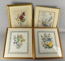 Four Various Gilt Framed Botanical Prints