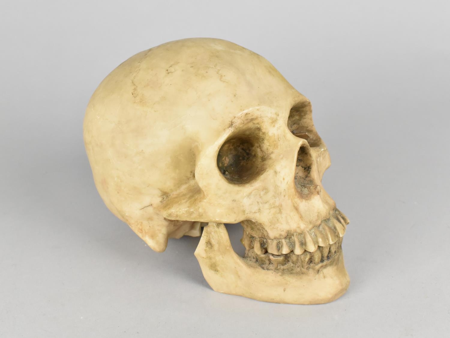 A Cast Resin Study of a Human Skull, Perhaps Teaching Aid, 18cms Long