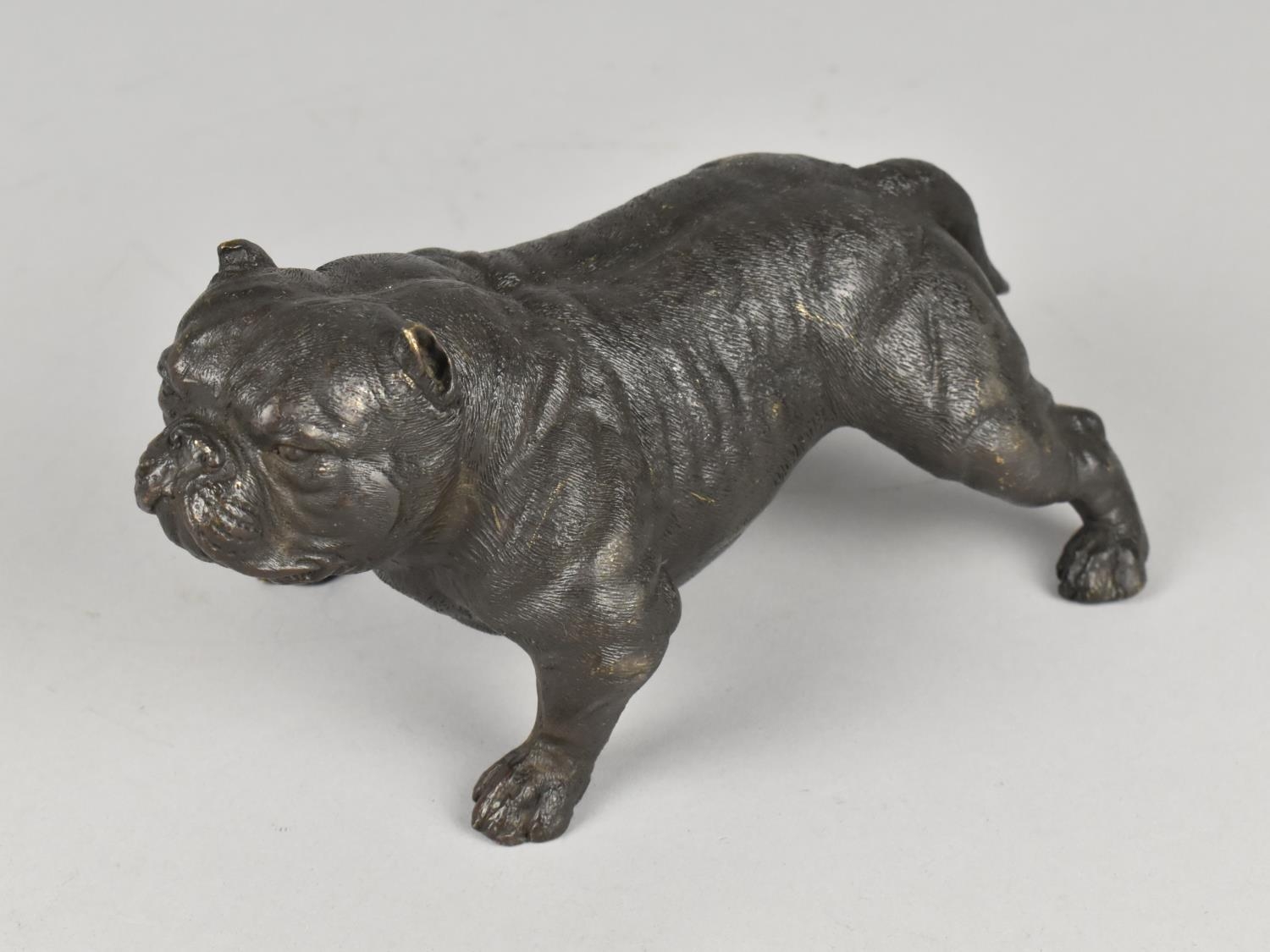 A Modern Patinated Bronze Study of a Pitbull Terrier - Image 2 of 4