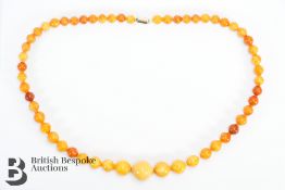 Yellow Amber Graduated Bead Necklace
