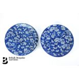 Pair of Blue and White Plates