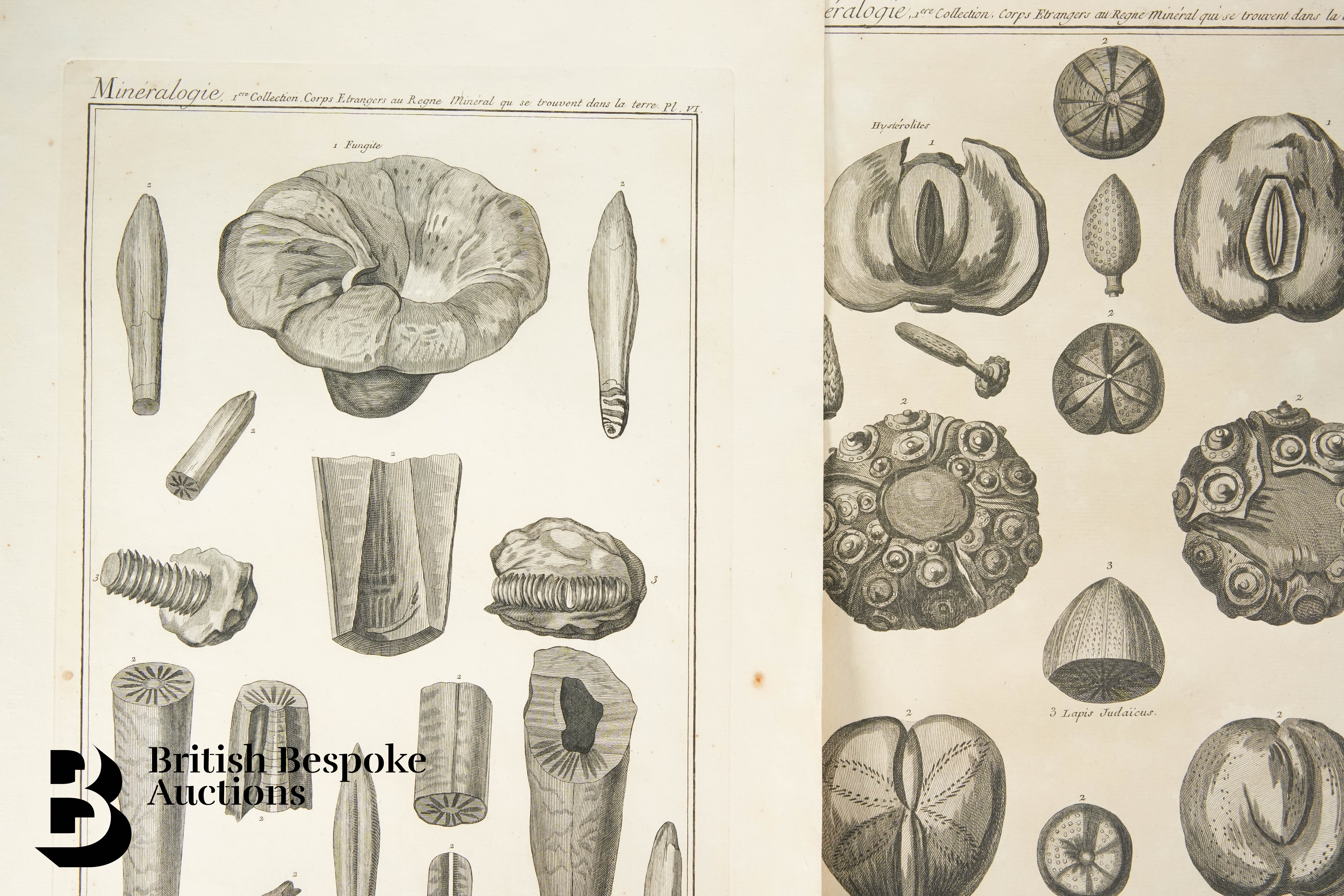 Book Plates from Histoire Naturelle, Benard Direxit, and Others - Image 14 of 14