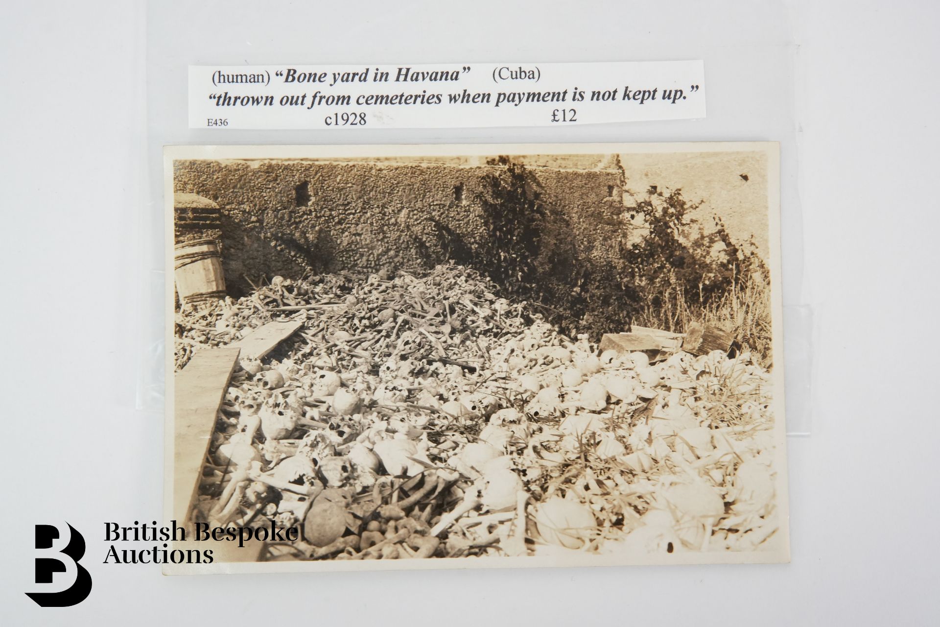 18 Postcards of Various Catacombs