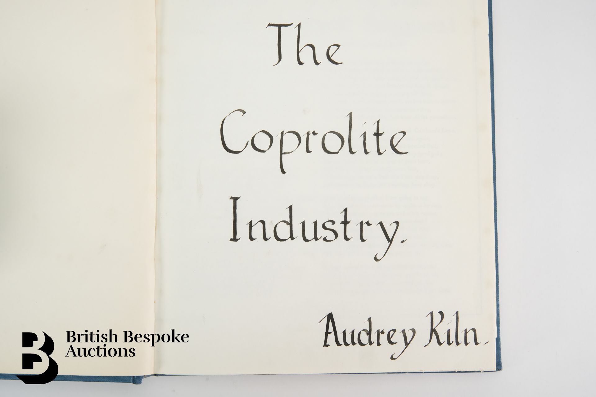 Interesting Project by Audrey Kiln of the Coprolite Industry - Bild 2 aus 11