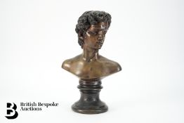 Bronze Bust of David