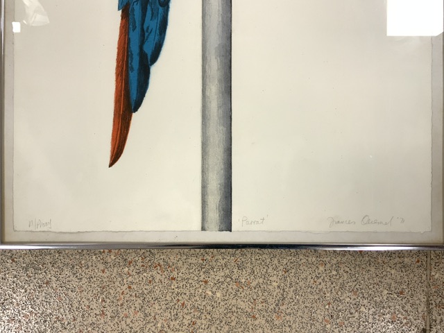 ARTIST PROOF OF A MACAW PARROT SIGNED IN PENCIL FRAMED AND GLAZED 80 X 53CM - Image 3 of 6