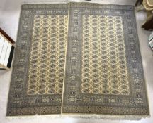 TWO BAGDAD RUGS FROM TAPISIFT 200 X 300CM
