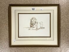 ZAKKIE (ZACHARIAS) ELOFF (SOUTH AFRICAN 1925-2004) SIGNED DRAWING OF A LION FRAMED AND GLAZED 50 X