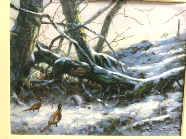 JOHN TRICKET (1952) SIGNED OIL ON BOARD OF PHEASANTS IN THE WOODS; 55 X 47CM - Image 2 of 4