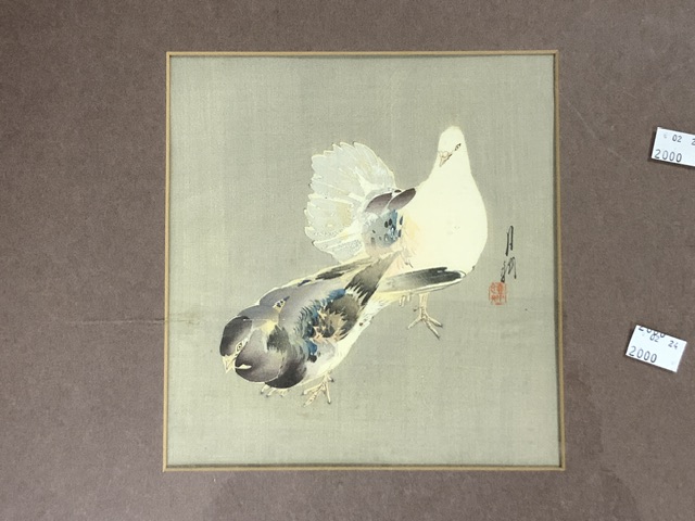 JAPANESE WATERCOLOUR SIGNED OF BIRDS FRAMED AND GLAZED; 46 X 43CM - Image 2 of 4