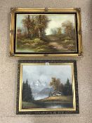 TWO OIL ON CANVAS PICTUREAS OF MOUNTAINOUS AND WOODLAND SCENES BOTH SIGNED AND BOTH WITH GILDED