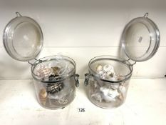 TWO GLASS CONTAINERS OF SEA SHELLS