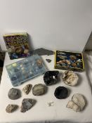 QUANTITY OF FOSSILS INCLUDES BOOKS