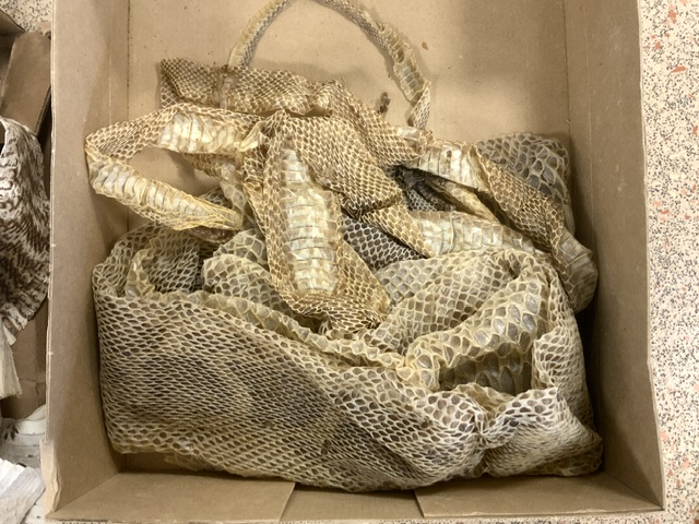 QUANTITY OF SNAKE SKINS - Image 4 of 4