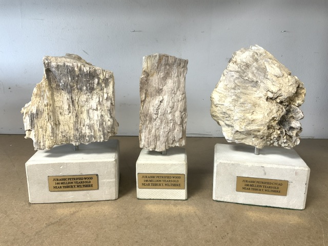 THREE PIECES OF JURASSIC PETRIFIED WOOD ON PLINTHS; 28CM - Image 2 of 7