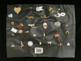 A QUANTITY OF BROOCHES, BADGES AND A NAPKIN CLIP, INCLUDING; A HORSESHOE, A TURTLE, AN ART NOUVEAU