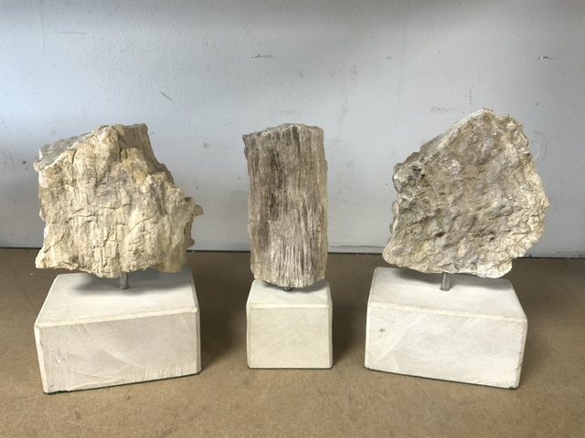 THREE PIECES OF JURASSIC PETRIFIED WOOD ON PLINTHS; 28CM - Image 6 of 7