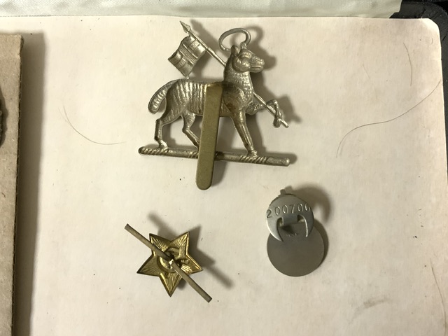 A SOVIET / RUSSIAN MILITARY CAP BADGE WITH TWO LOCKS OF HAIR AND A QUANTITY OF METAL BADGES, - Image 4 of 6