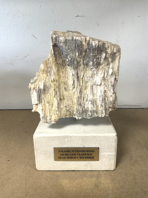 THREE PIECES OF JURASSIC PETRIFIED WOOD ON PLINTHS; 28CM - Image 3 of 7