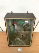 CASED TAXIDERMY EUROPEAN GREEN WOODPECKER PERCHED ON A STUMP WITHIN A NATURALISTIC SETTING