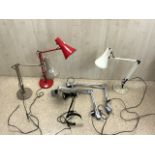 QUANTITY OF ANGLEPOISE LAMPS
