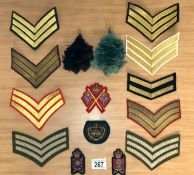 TWO MILITARY CAP FEATHERS AND MILITARY CLOTH BADGES
