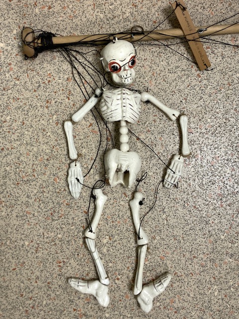 VINTAGE PELHAM PUPPET SKELETON - Image 2 of 2