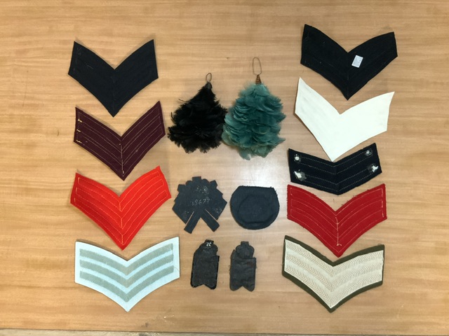 TWO MILITARY CAP FEATHERS AND MILITARY CLOTH BADGES - Image 3 of 3