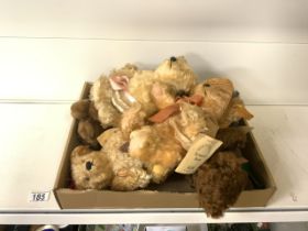 QUANTITY OF STIEFF TEDDY BEARS