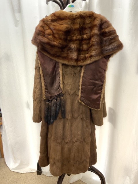 FUR CAPE BY COUPAR OF GLASGOW AND FUR COAT BY JEAN DOUGALL MACDONALD OF GLASGOW - Image 5 of 5