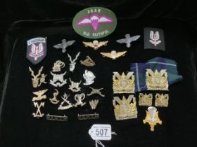A COLLECTION OF CANADIAN MILITARY CAP BADGES AND SHOULDER TITLES FOR THE PERTH REGIMENT, TOGETHER