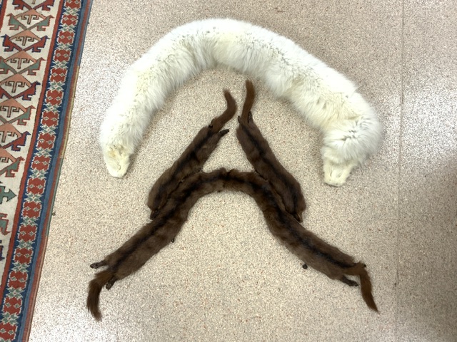 THREE FUR STOLES; BEIGE; DARK BROWN AND CREAM - Image 2 of 7