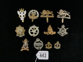 A QUANTITY OF MILITARY METAL CAP BADGES INCLUDING; HAMPSHIRE, THE KINGS OWN, GLIDER PILOT REGIMENT