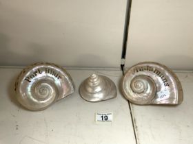 THREE MOTHER OF PEARL SHELLS