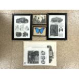 FOUR PRINTS AND PHOTOGRAPH AND BRAZIL BUTTERFLY