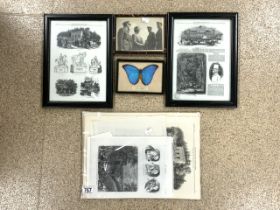 FOUR PRINTS AND PHOTOGRAPH AND BRAZIL BUTTERFLY