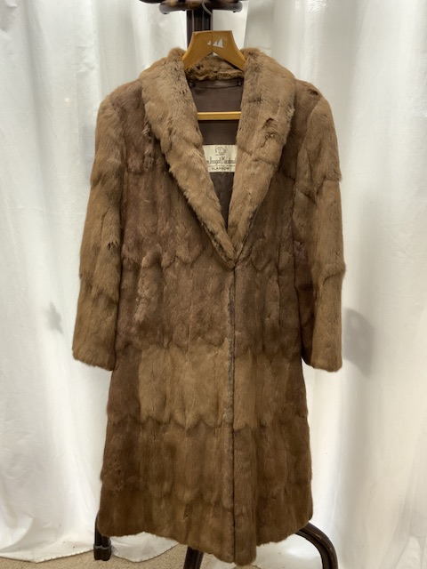 FUR CAPE BY COUPAR OF GLASGOW AND FUR COAT BY JEAN DOUGALL MACDONALD OF GLASGOW - Image 3 of 5