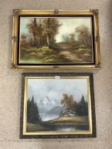 TWO OIL ON CANVAS PICTUREAS OF MOUNTAINOUS AND WOODLAND SCENES BOTH SIGNED AND BOTH WITH GILDED