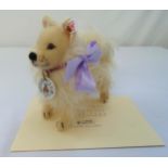 Steiff Club edition 2000 Zwergspitz dog 420207, white tag gold button 03091 to include COA