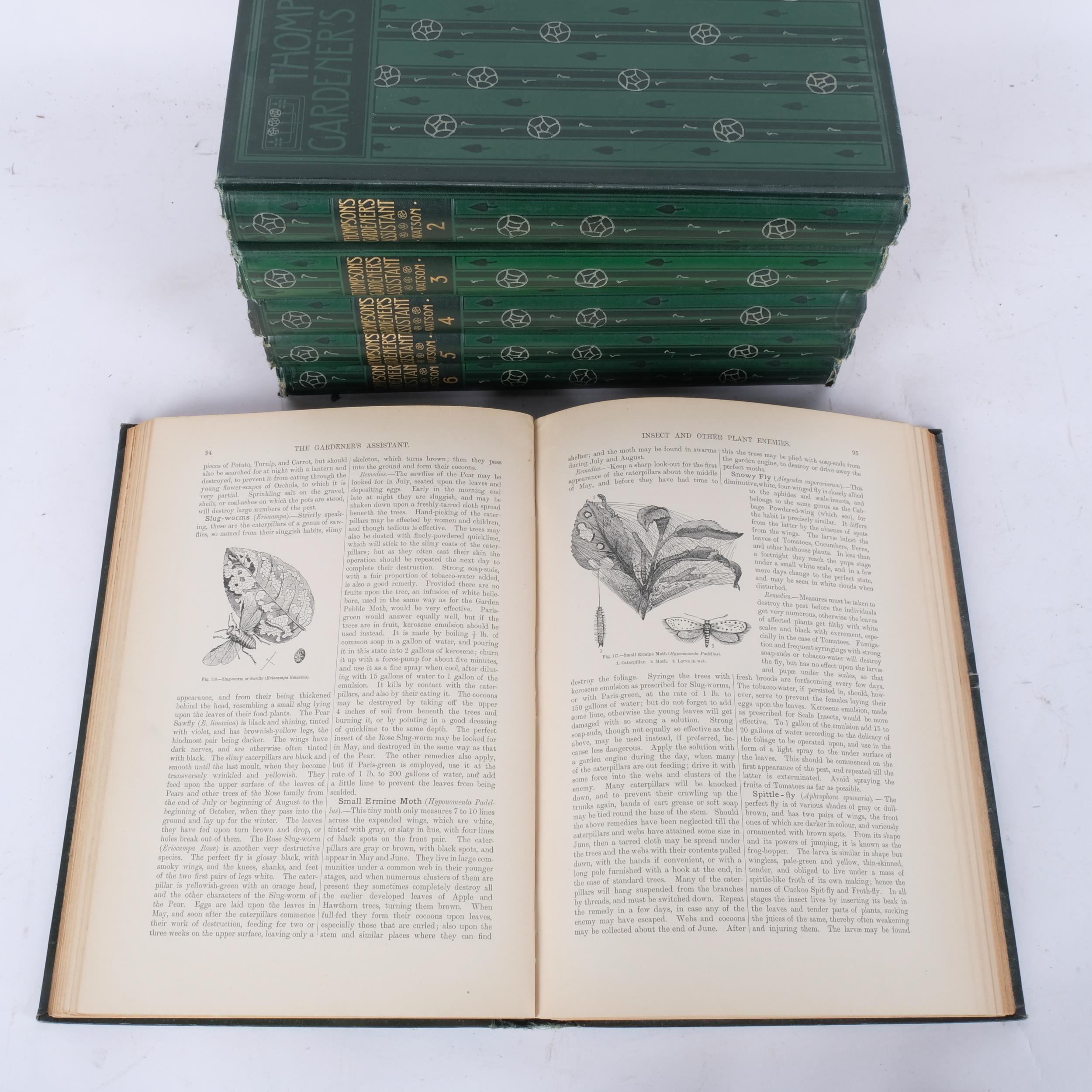Thompsons Gardener's Assistant, volumes 1-6, these are the revised and entirely remodelled - Image 2 of 2