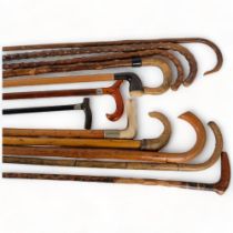 A group of various walking sticks and canes, including ram's horn handled etc (12)