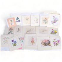 A large selection of pencil and watercolour pictures, including many floral studies, animals and