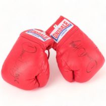 BOXING INTEREST - a pair of boxing gloves, signed by former World Heavyweight Champion David Haye,