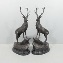 After Jules Moigniez, a large pair of bronze stags on shaped marble plinths, overall height 75cm