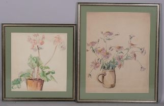 D Weeraat, 4 still life botanical studies, watercolour/pencil, largest 51cm x 42cm, framed (4) Paper