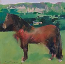 Louis Turpin (born 1947), stallion at Loweswater, oil on canvas, signed, titled verso, 31cm x
