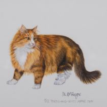 Mary McGregor (XX-XX1), watercolour on paper, Tortie and White Maine Coon, signed lower right,
