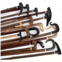 A large selection of walking sticks and staffs, including various wooden hoof handled staffs,